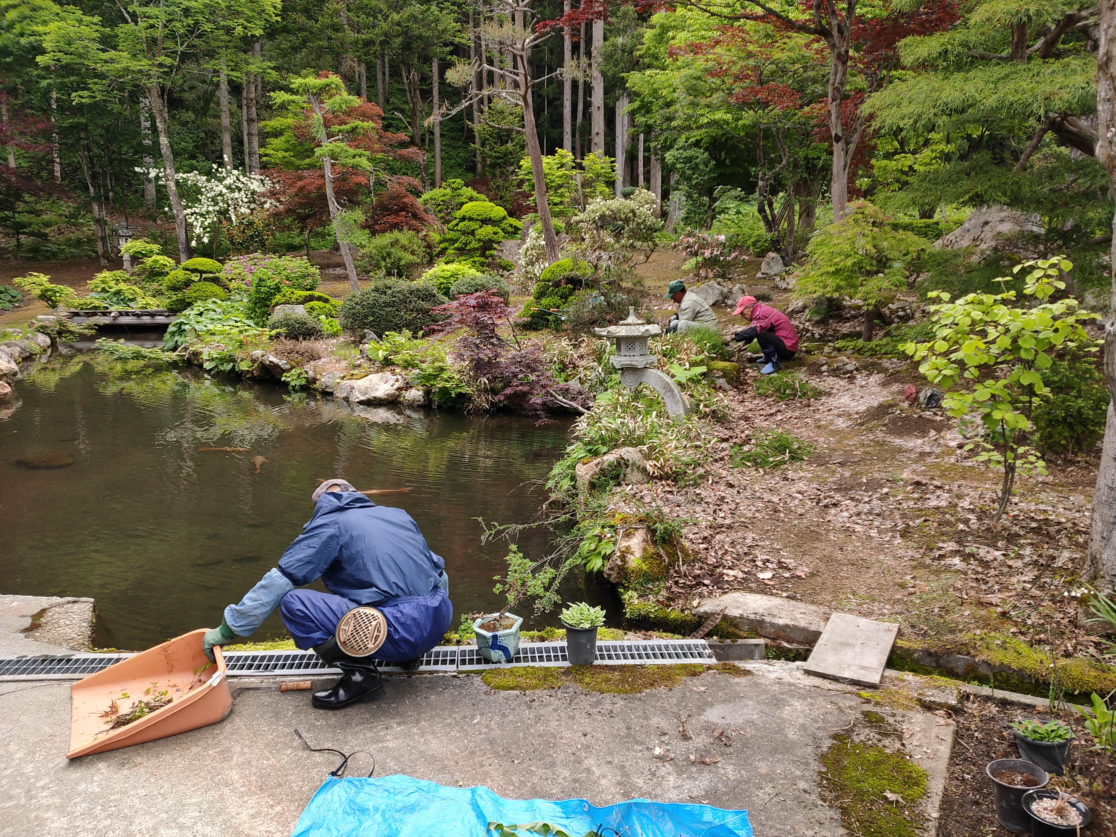 除草（湯沢）