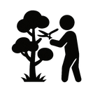 庭木の剪定作業の様子