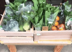 農産物販売の様子