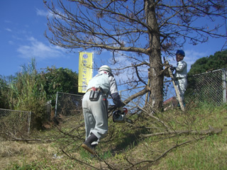 ボランティア活動＆普及啓発活動の風景