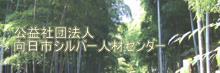 ヘッダーイメージ