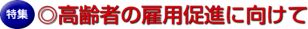 ҂̌ٗpiɌ