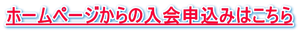 z[y[W̓\݂͂