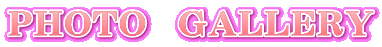 PHOTO GALLERY